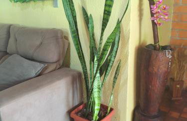 Casa Campo - Foto 66