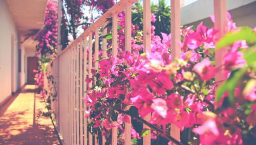 El Penell Estudi Mestral - Foto 5