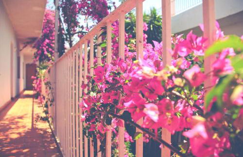 El Penell Estudi Mestral - Foto 5