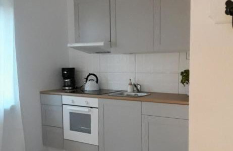 Domki nad stawem - Foto 8