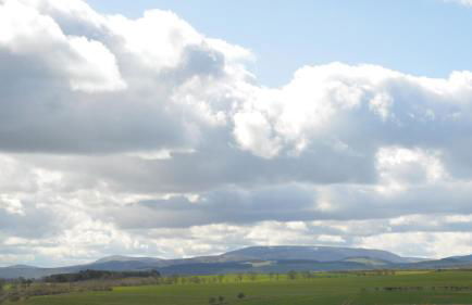 Orchard Cottage - Foto 15