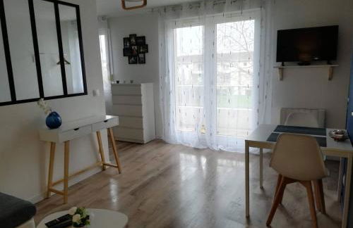 Appartement Cosy proche Météo France et Airbus - Photo 4