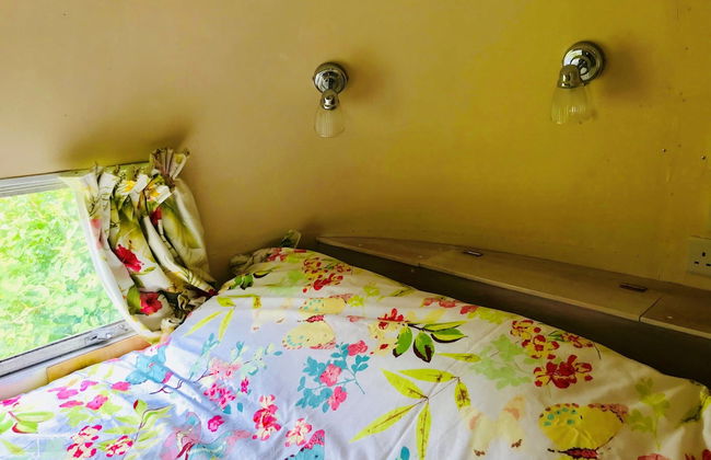 Cotswolds Camping at Holycombe - Foto 9