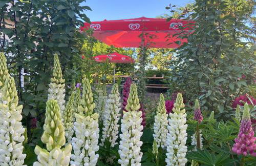 K 357 - Low budget Hotel in Ratekau bei Lübeck - Foto 30