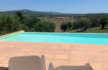 Almojanda 3 Olive Tree - Foto 13