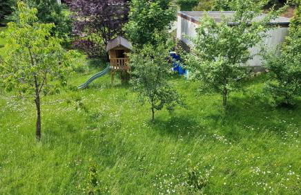 Altes Zollhaus im Wald - Foto 9