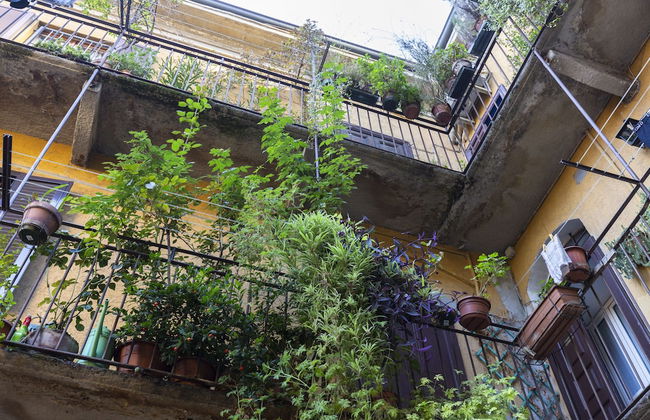 notaMi - CIAO isola - Foto 27