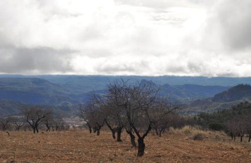 El Palomar de Peñarrubia - Foto 23