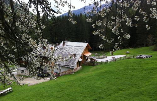 Maso Coler - Foto 47