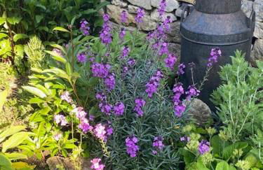 Spacious Edwardian home - Foto 36