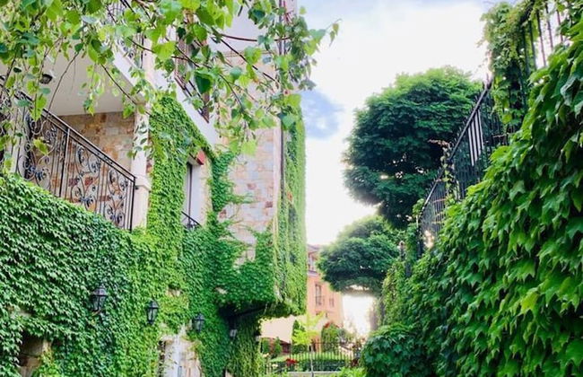 New Modern Studio - Artur, Sveti Vlas - Apartello - Foto 22