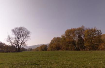 FeWo Sonnenlay - Apartments an der Mosel - Foto 19