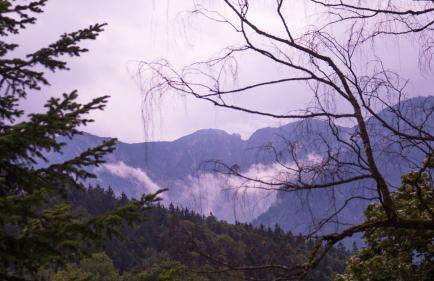 Deluxe Loft Mountain View - Foto 18