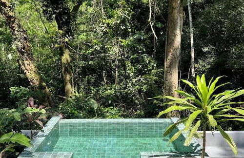 Casa na Floresta - 50 min do Rio - Foto 12