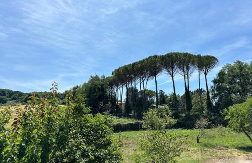 Villa with Garden near Rome for Groups & Families - Foto 51