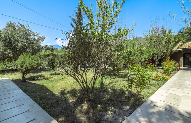 La Maison Hotel Çıralı - Foto 58