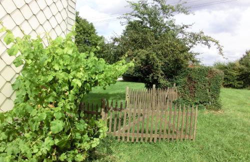 Lindenhof Hahn - Foto 20