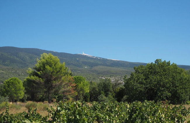 Holiday Home With Private Pool in Bedoin - Photo 31