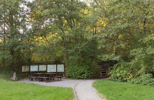 Eifelferienkurth - Photo 75