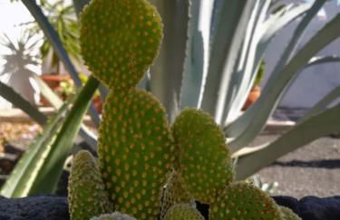 Casa Azmira del Mar - Foto 11