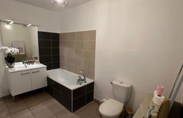 Agatha : ACCES FACILE GARE PARDIEU / EUREXPO / AEROPORT / GROUPAMA STADIUM - Foto 12