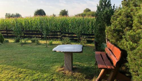 Dom wypoczynkowy Zacisze - Foto 4