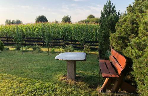 Dom wypoczynkowy Zacisze - Foto 4