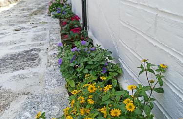 A casiña de Estela - Foto 18