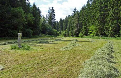 Landurlaub Wittmann - Foto 31