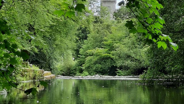 Tour por el Camino de St Declan - Foto 2