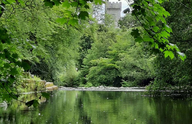 Tour por el Camino de St Declan - Foto 1