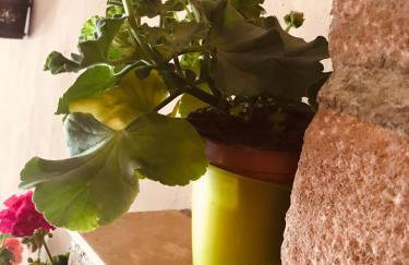 AUX DEUX CIGOGNES AMMERSCHWIHR - Foto 28