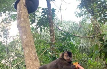 SUÍTE PRIVATIVA RIVIERA & ITAGUARÉ 100mts de 2 praias! - Foto 9