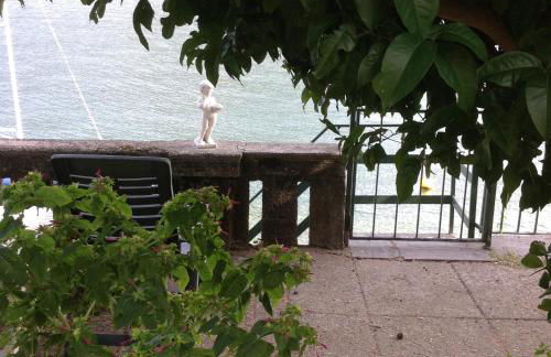 Le palme Antonella - Foto 18