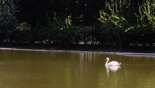 Casa do Lago - Foto 5