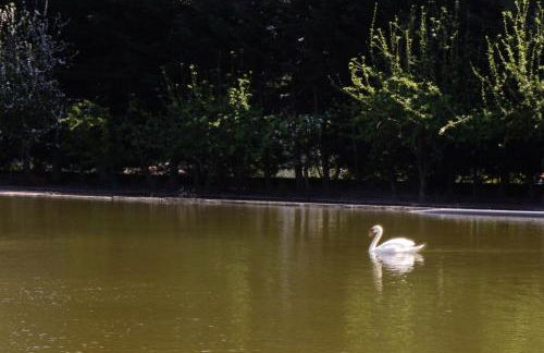 Casa do Lago - Foto 5