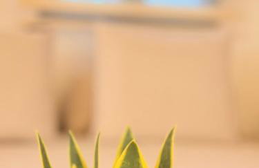 Villa Fanouris - Foto 17