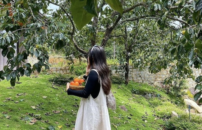 Scent Village - Foto 14