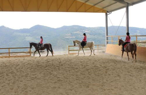 Agriturismo Il Monte - Piscina tra gli Ulivi, Maneggio con Cavalli e WIFI - Foto 28