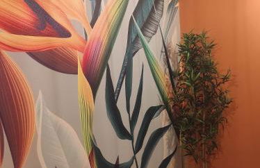 B&B Esotica - Foto 25