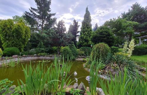 Michałówka Michaelhof - Foto 62