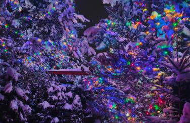 Lux Houses w DOMKU tylko DWA APARTAMENTYz jacuzzi zewnętrznym - Foto 28