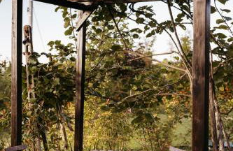 Villa Gramolina Nizza - Foto 12