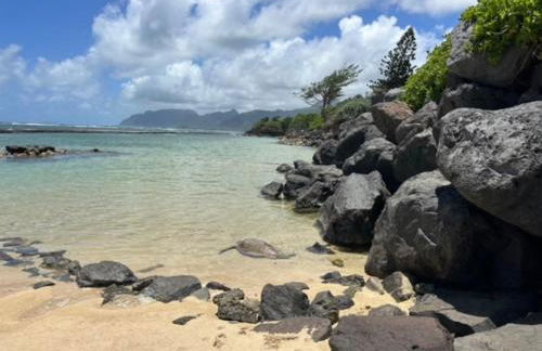 Oahu's Best Kept Secret - Photo 44