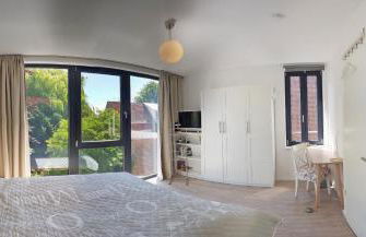 Meeresstern - Photo 22