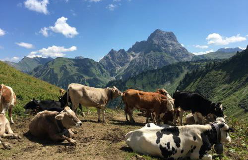 BERGFEX Falkenberg 304 mit Sommer-Bergbahnticket - Photo 23