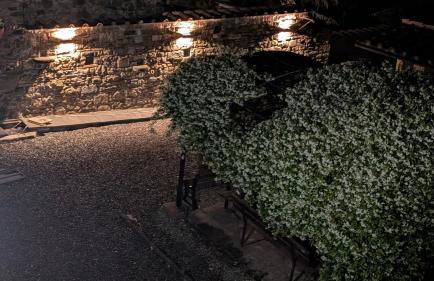 Agriturismo Amici Miei - Foto 24