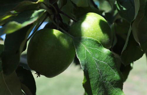 Osy Casa Vacanze - Foto 42