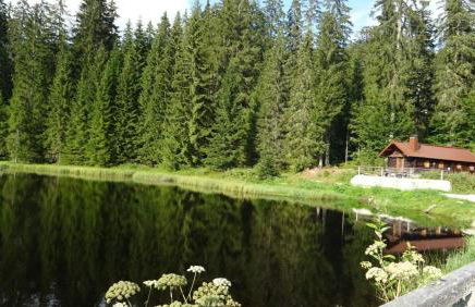 Wohnung Mitterdorf - Foto 33