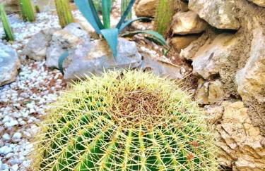 Charming Villa in El Vendrell + Pool - Foto 12